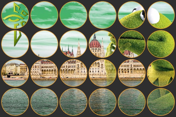 ENL Parliament View