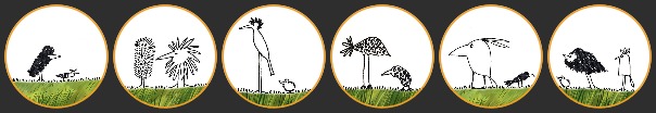 Birds in Tünde-park